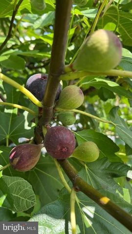 12847 HOLIDAY LN, Bowie, MD 20716