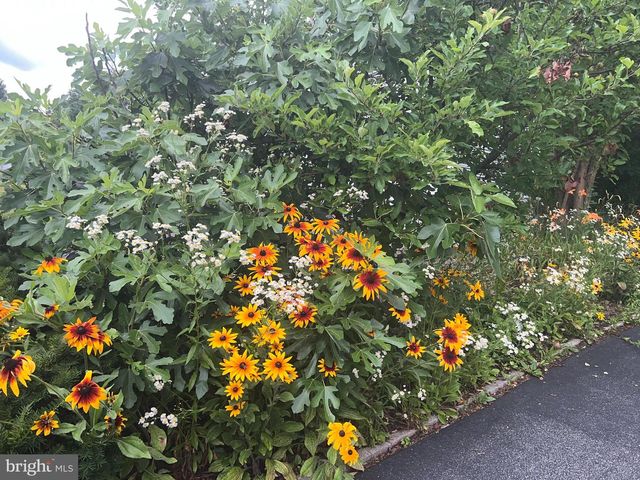 12847 HOLIDAY LN, Bowie, MD 20716