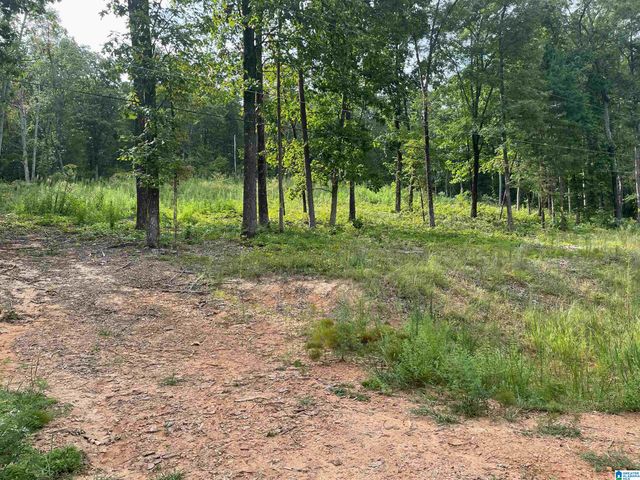 495 ANDERSON MTN DRIVE, Odenville, AL 35120