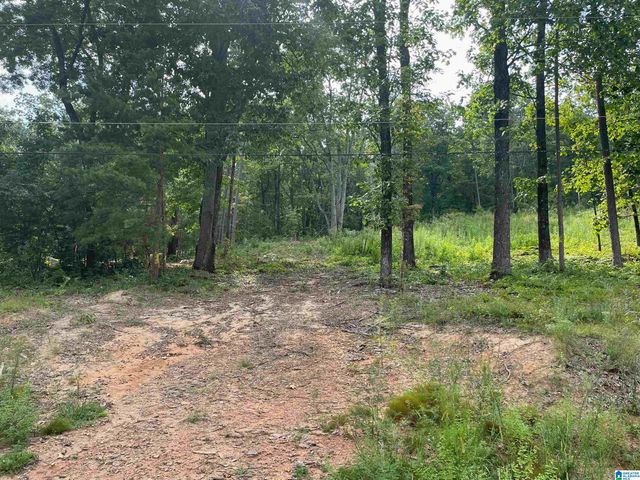 495 ANDERSON MTN DRIVE, Odenville, AL 35120