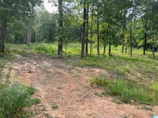 495 ANDERSON MTN DRIVE, Odenville, AL 35120