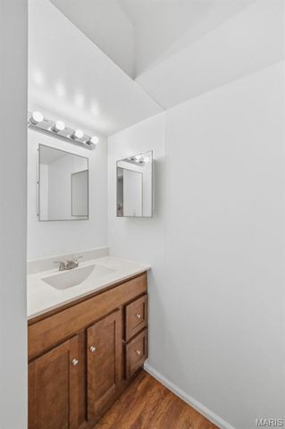 1117 Rue La Ville Walk 1117, St Louis, MO 63141