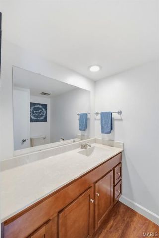 1117 Rue La Ville Walk 1117, St Louis, MO 63141