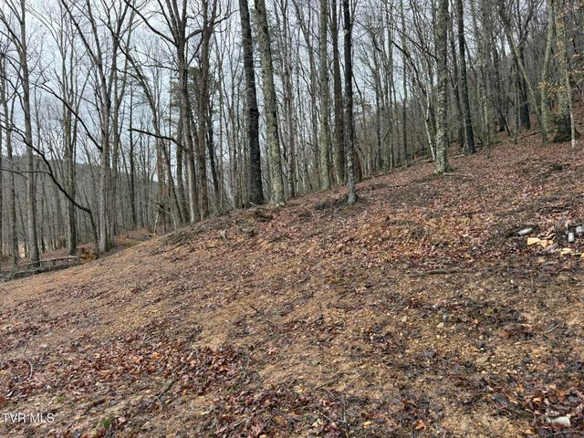 00 Yuma Road, Gate City, VA 24251