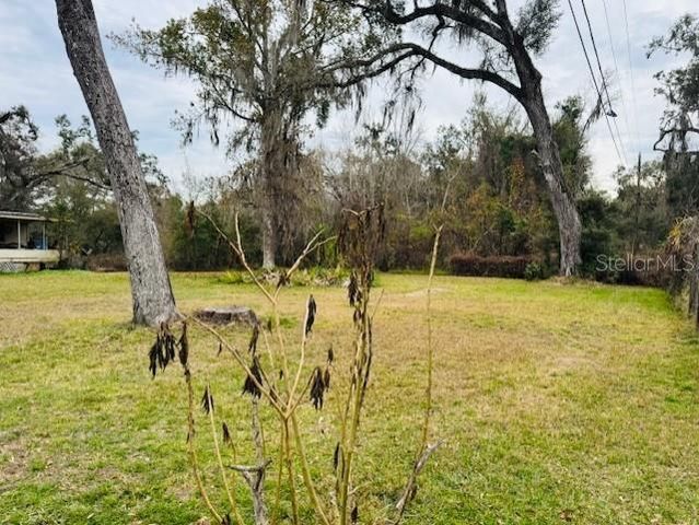 11417 SW 42ND TERRACE, Webster, FL 33597