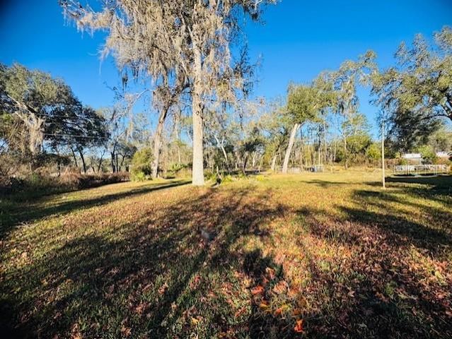 11417 SW 42ND TERRACE, Webster, FL 33597