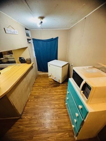 11417 SW 42ND TERRACE, Webster, FL 33597