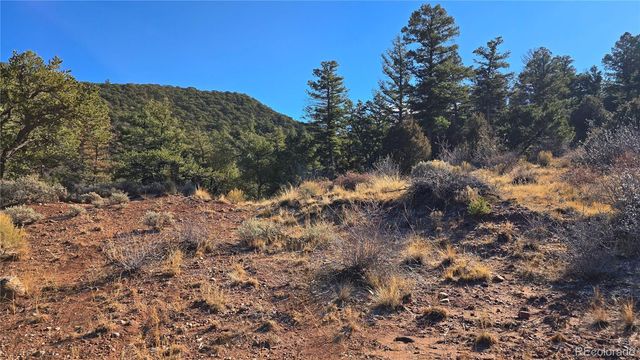 Lot 5106 Redler Road, Fort Garland, CO 81133