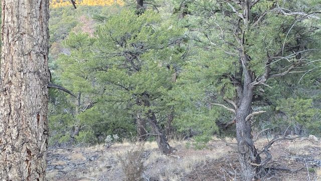 Lot 5106 Redler Road, Fort Garland, CO 81133