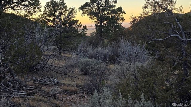 Lot 5106 Redler Road, Fort Garland, CO 81133