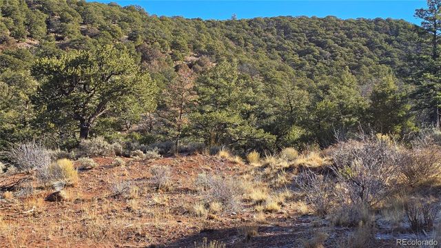 Lot 5106 Redler Road, Fort Garland, CO 81133