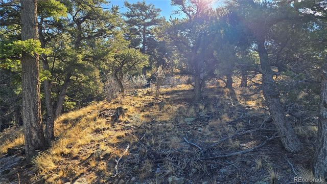 Lot 5106 Redler Road, Fort Garland, CO 81133