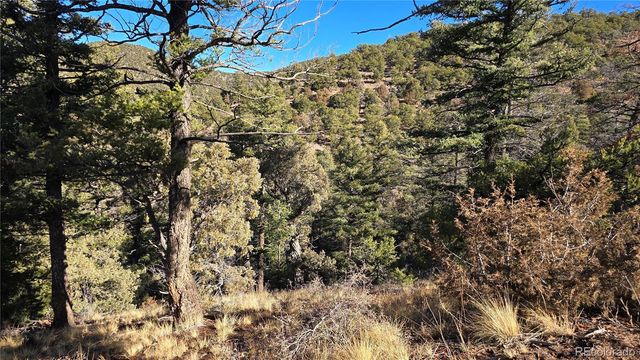 Lot 5106 Redler Road, Fort Garland, CO 81133