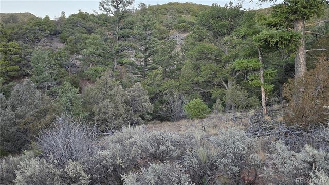 Lot 5106 Redler Road, Fort Garland, CO 81133