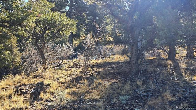 Lot 5106 Redler Road, Fort Garland, CO 81133