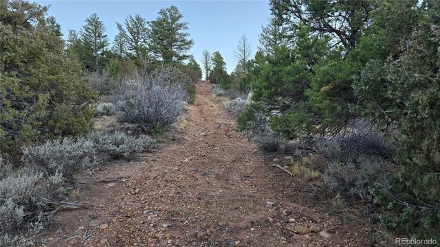 Lot 5106 Redler Road, Fort Garland, CO 81133