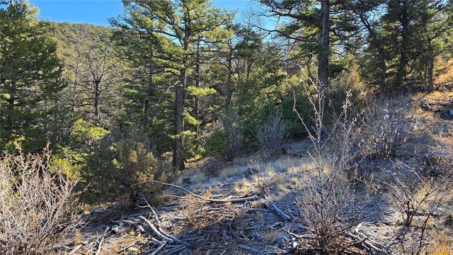 Lot 5106 Redler Road, Fort Garland, CO 81133