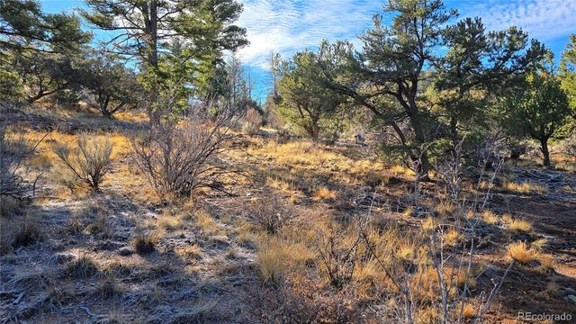 Lot 5106 Redler Road, Fort Garland, CO 81133