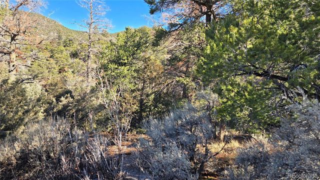 Lot 5106 Redler Road, Fort Garland, CO 81133