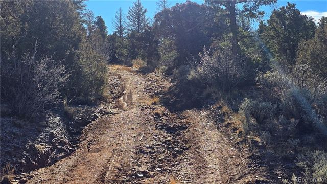 Lot 5106 Redler Road, Fort Garland, CO 81133