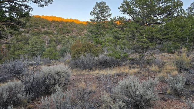 Lot 5106 Redler Road, Fort Garland, CO 81133