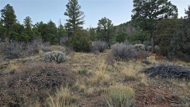 Lot 5106 Redler Road, Fort Garland, CO 81133
