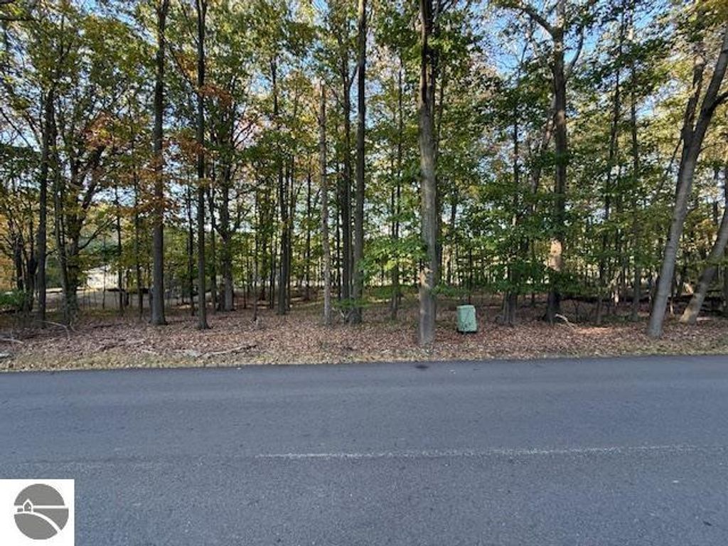 TBD Hiawatha Drive, Mt Pleasant, MI 48858