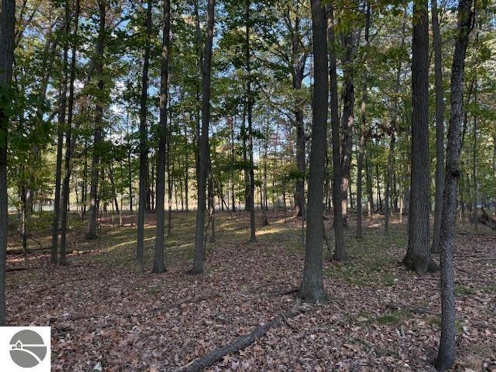 Image 2 of property listing at TBD Hiawatha Drive, Mt Pleasant, MI 48858
