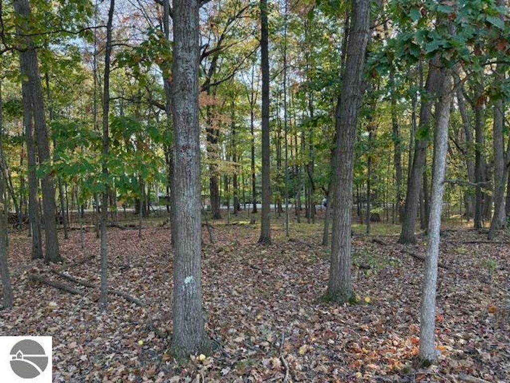 Image 6 of property listing at TBD Hiawatha Drive, Mt Pleasant, MI 48858