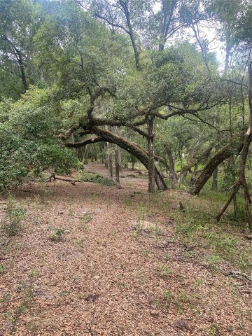 SW 70TH TER, Bushnell, FL 33513