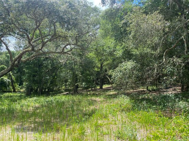 SW 70TH TER, Bushnell, FL 33513