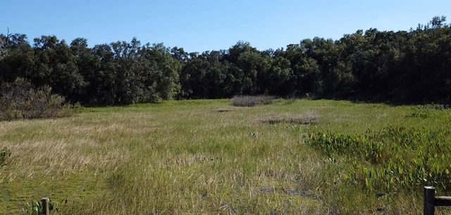 SW 70TH TER, Bushnell, FL 33513
