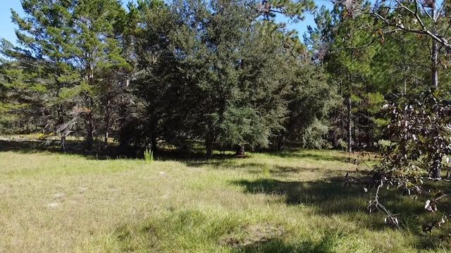 SW 70TH TER, Bushnell, FL 33513