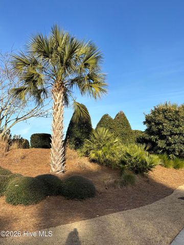 8583 Safflower Way NE, Leland, NC 28451