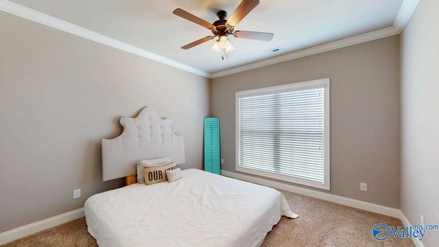 25286 Heathrow Street, Toney, AL 35773