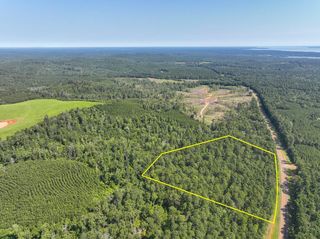 01 Highway 87, Milam, TX 75959