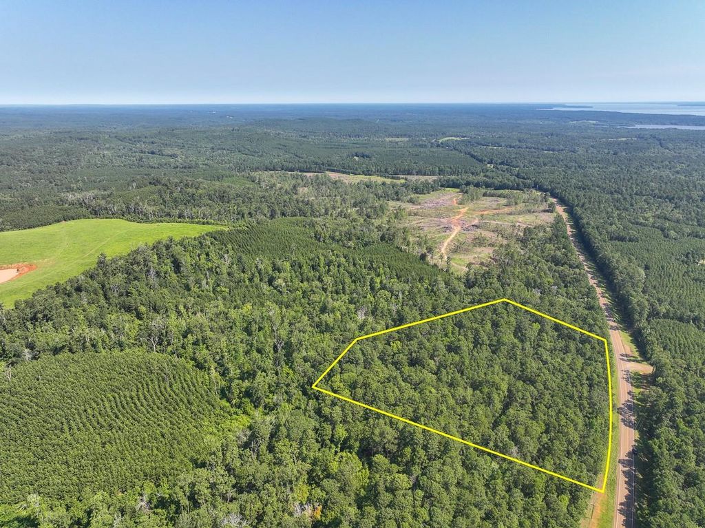 01 Highway 87, Milam, TX 75959