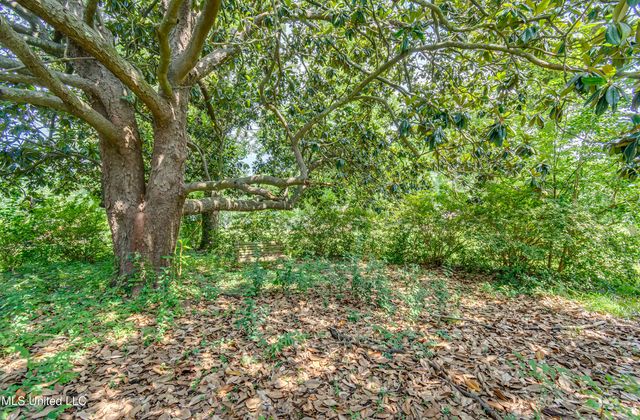 153 Peach Street, Flora, MS 39071