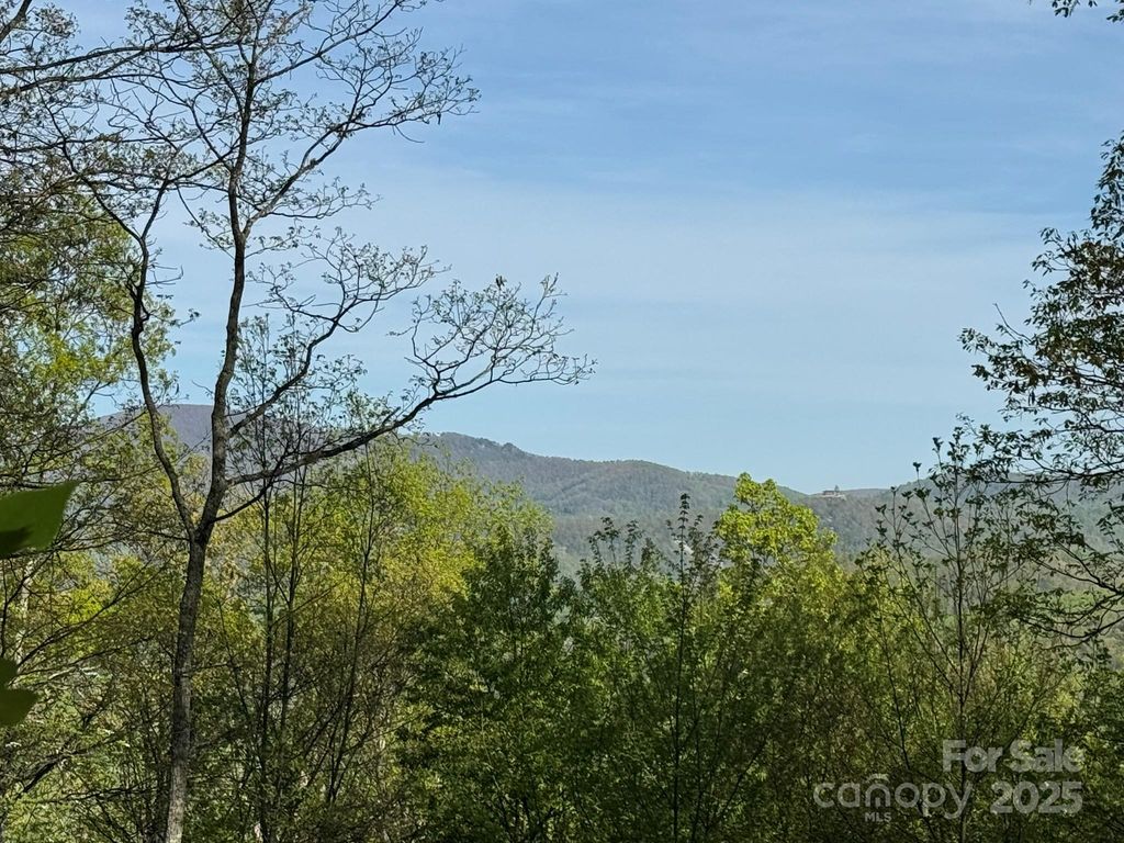 0000 Laurel Creek Drive 32, Hendersonville, NC 28792
