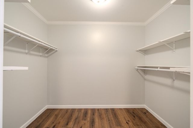 435 CEDAR CV, Savannah, TN 38372