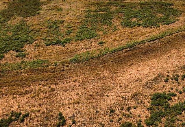 4707 E County Rd 6000, Idalou, TX 79329