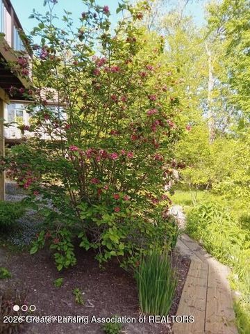 16763 Meadowbrook Drive, Haslett, MI 48840