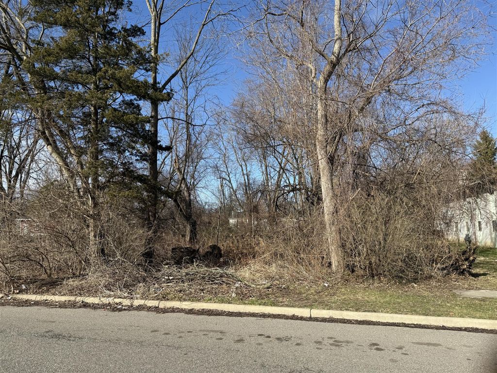 Tromley Street, Inkster, MI 48141