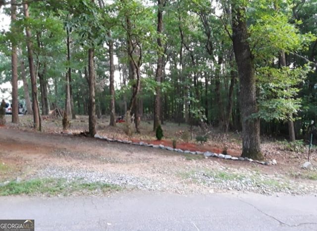 0 Pink Mountain, Cleveland, GA 30528