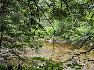 191 Pingree Park Lane # 3, Londonderry, VT 05148