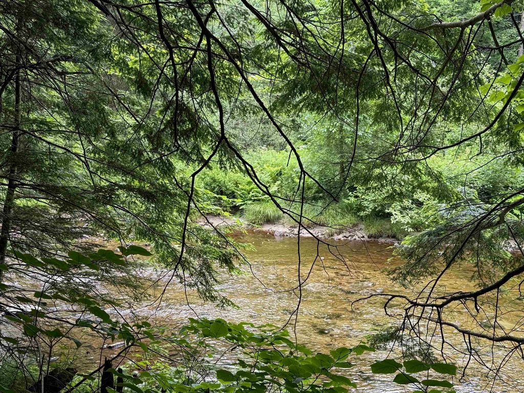191 Pingree Park Lane # 3, Londonderry, VT 05148