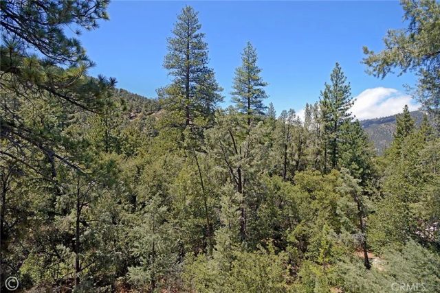 1801 Bernina Drive, Pine Mountain Club, CA 93222