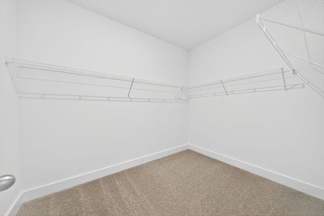 3915 Trinity Woods Rd, Columbia, TN 38401