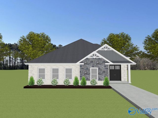 Emerson - A Narayan Street, Madison, AL 35756