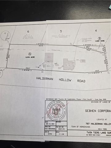 787 Halderman Hollow Road, Horseheads, NY 14903